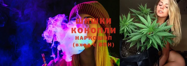 PSILOCYBIN Алзамай