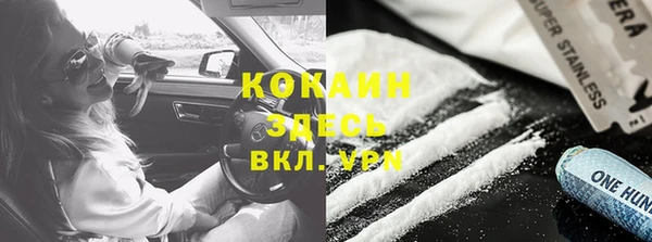 PSILOCYBIN Алзамай