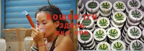 spice Алексин