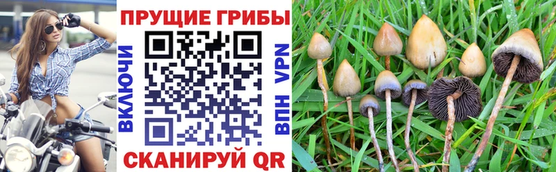 Галлюциногенные грибы Cubensis  Ревда 
