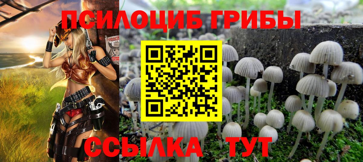 Ревда  Псилоцибиновые грибы Psilocybe  где найти   Вход с VPN 